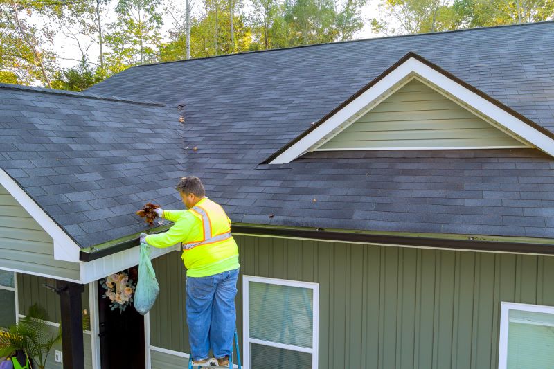 Year-Round Gutter Care